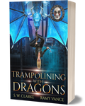 Setting Fires with Dragons Book 4: Trampolining with Dragons (Paperback, Hardback)