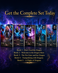 Setting Fire with Dragons: The Complete Series Bundle (Paperback)